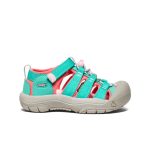 Little Kids' Newport H2  |  Bright Aqua/Giggle Pink
